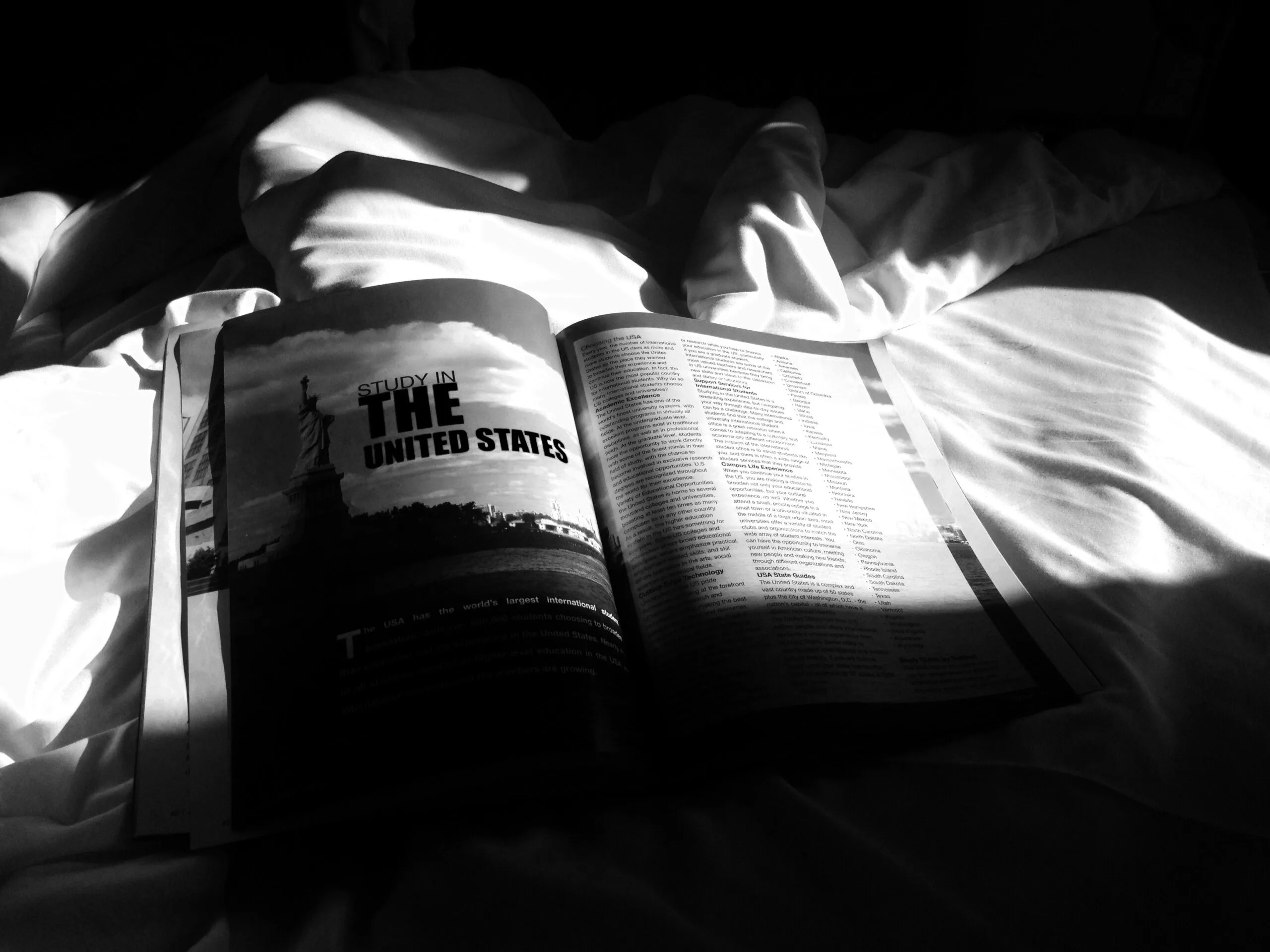 Best Course to Study Abroad